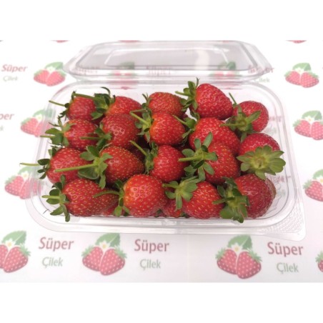 SüperÇilek - 500 Gr.